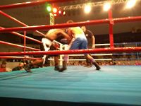 File:Wendel Rafael da Costa Santos vs. Leandro Prado (78).jpg