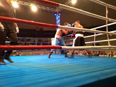 Wendel Rafael da Costa Santos vs. Leandro Prado (82).jpg