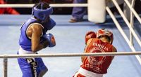 File:Wesley Souza vs. Edson Campos.jpg
