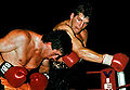 Thumbnail for version as of 21:32, 15 August 2012