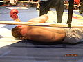 Thumbnail for version as of 00:20, 24 October 2010