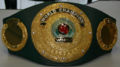 Wibo belt.jpg