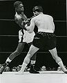 Williams-Gatica.jpg