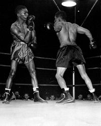 File:Williams-Jack.jpg