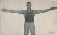File:Wills Reach.jpg