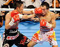 Thumbnail for version as of 05:33, 24 March 2010