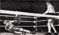 Thumbnail for version as of 19:50, 21 December 2022