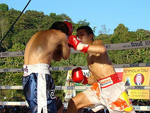 Worawut Sor Bee Bee vs. Yodpichai Sithsaithong.jpg