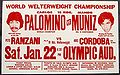 World champion Carlos Palomino vs Mado Muniz.jpg