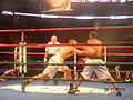 Thumbnail for version as of 12:02, 22 August 2010