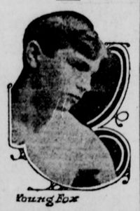 File:Young Fox2.JPG
