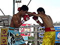 Thumbnail for version as of 03:28, 27 December 2011