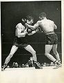 Zivic-Beau.jpg