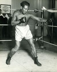 File:Zorrilla3.JPG