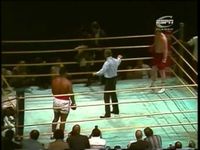 File:Zouski-vs-tyson.jpg